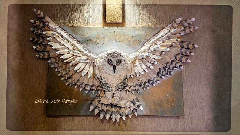 Message from the Owl
