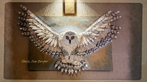 Message from the Owl