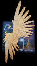 Eagle Medicine