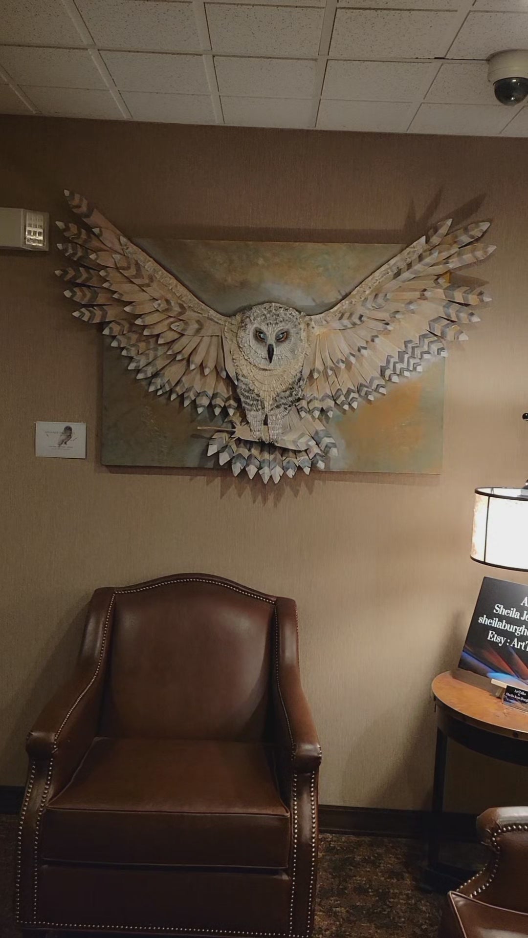 Message from the Owl